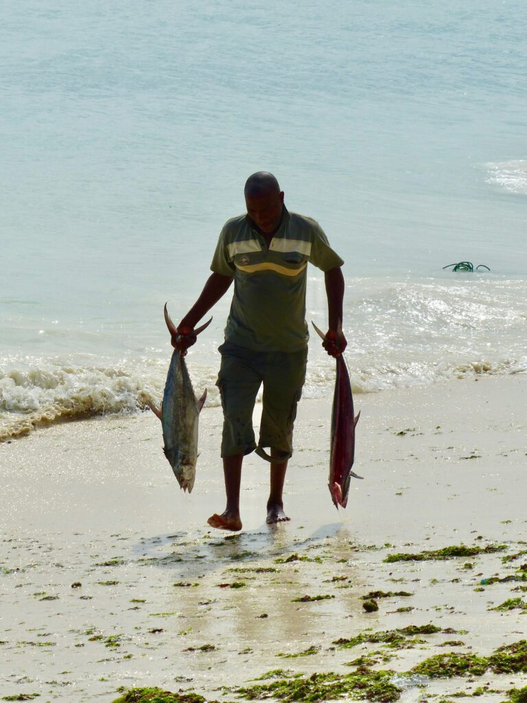 Local fishing